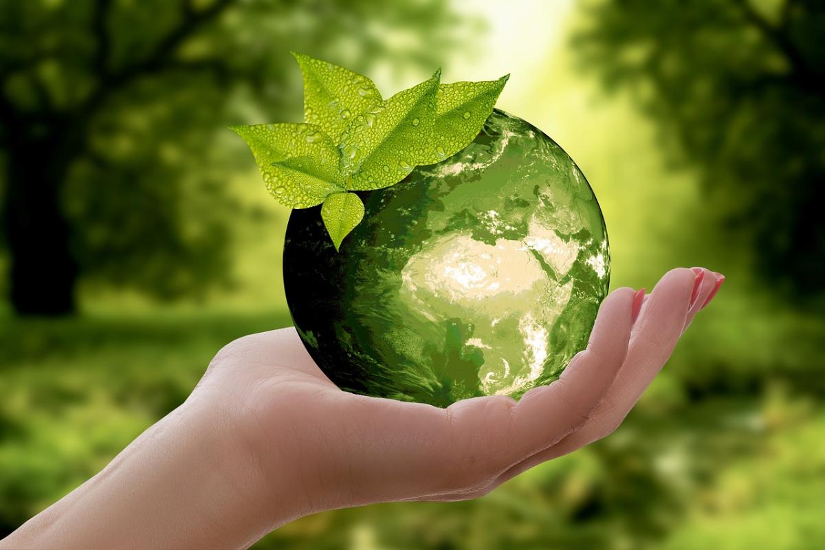 Vihreän keskellä käsi ja lasipallo, josta näkyy myös maapallo. Lasipallon päällä on vihreitä lehtiä.