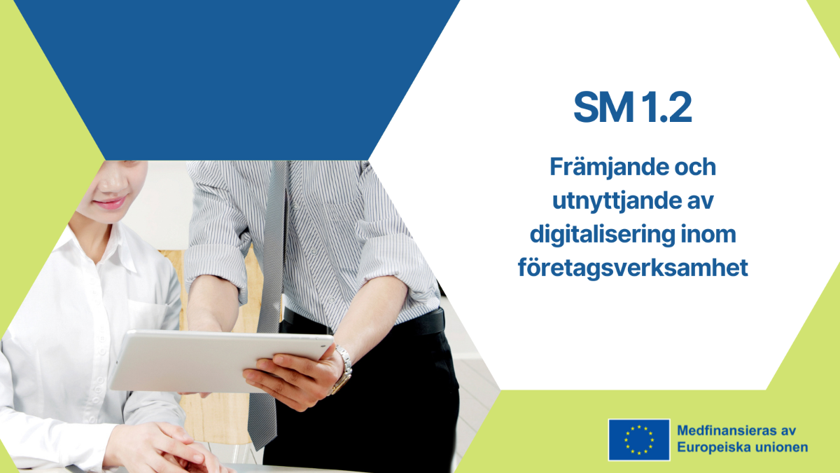 SM 1.2 Främjande och utnyttjande av digitalisering inom företagsverksamhet