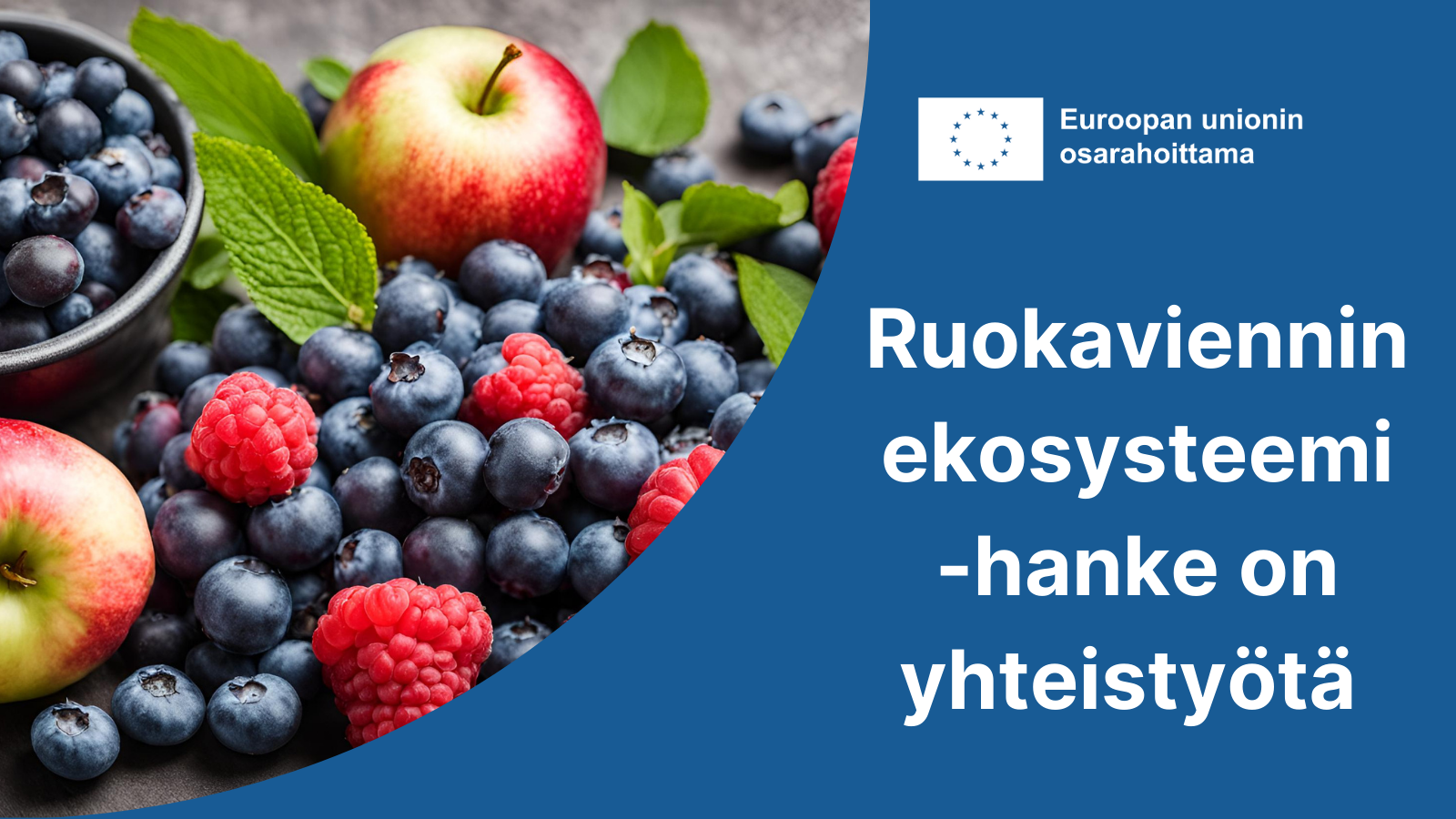 Ruokaviennin ekosysteemi -hanke on yhteistyötä. EU-lippulogo tekstillä Euroopan unionin osarahoittama sekä valokuva suomalaisista marjoista.