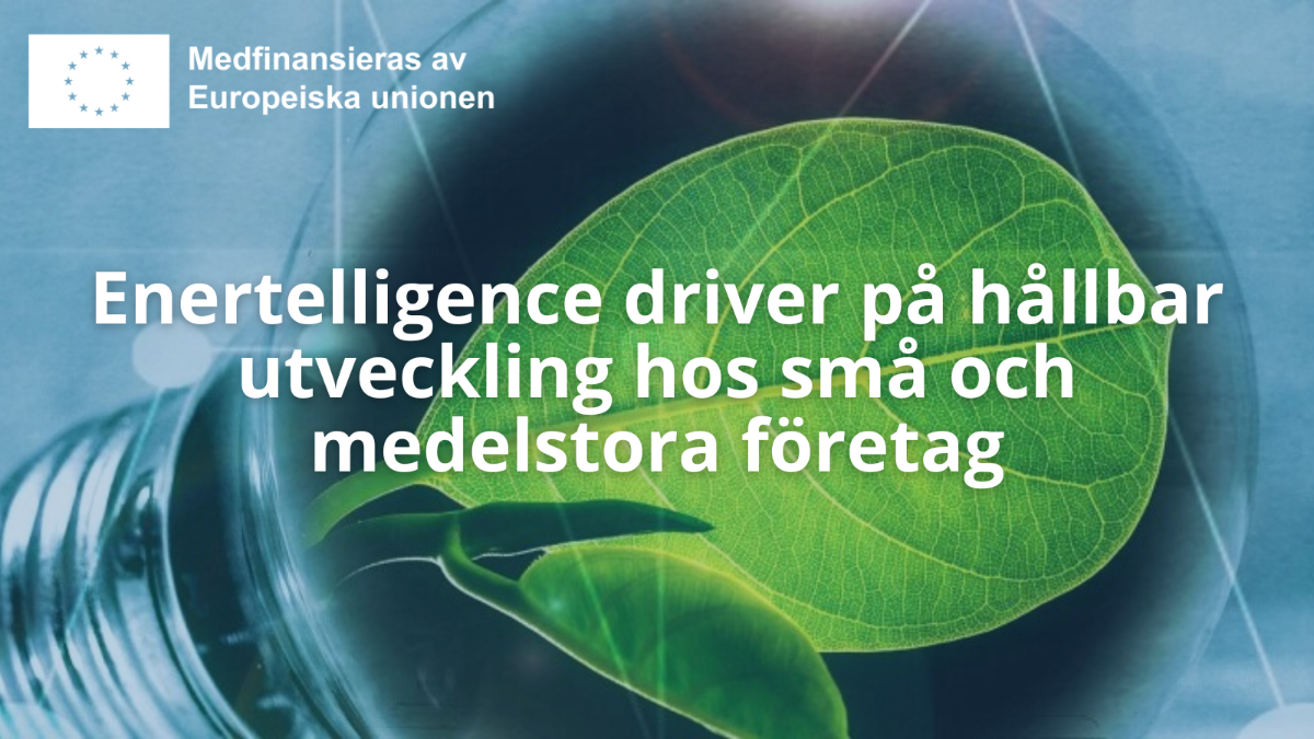 Enertelligence driver på hållbar utveckling hos små och medelstora företag. Logo: EU flagga med text Medfinansieras av europeiska unionen.