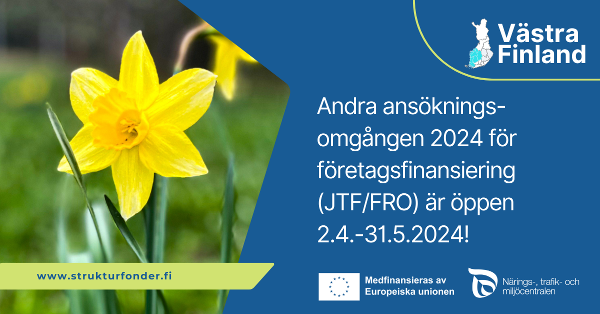 Vuoden 2024 toinen yritysrahoitushaku (JTF) on käynnissä 2.4.-31.5.2024! Länsi-Suomi. Logot: Euroopan unionin osarahoittama ja ELY-keskus. Kuvituskuvana narisissi.