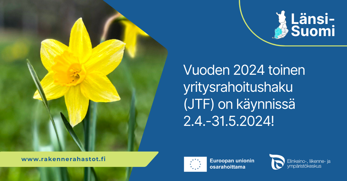 Vuoden 2024 toinen yritysrahoitushaku (JTF) on käynnissä 2.4.-31.5.2024! Länsi-Suomi. Logot: Euroopan unionin osarahoittama ja ELY-keskus. Kuvituskuvana narisissi.