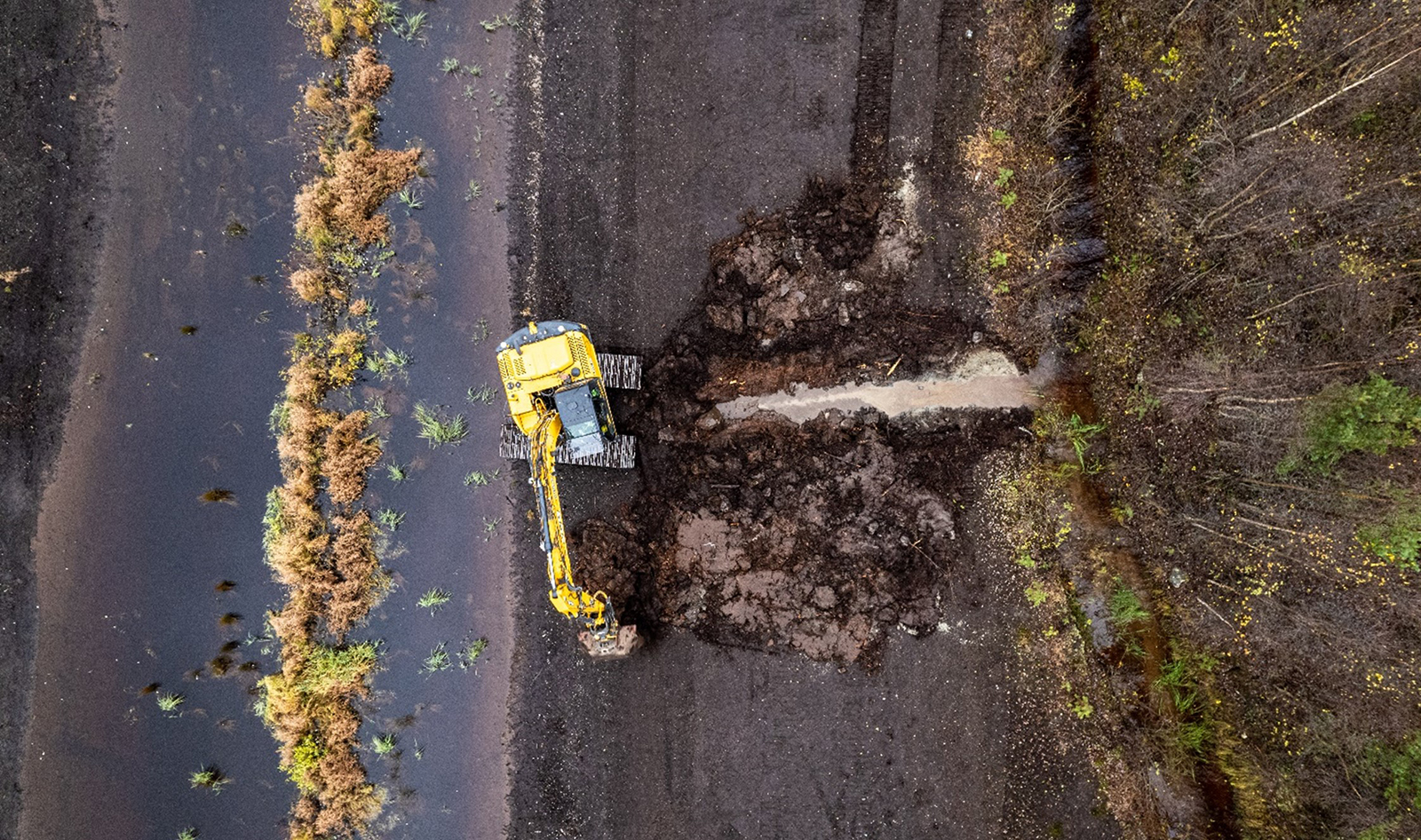 Kaivuri työskentelemällä vetetyllä, entisellä turvetuotantoalueella.