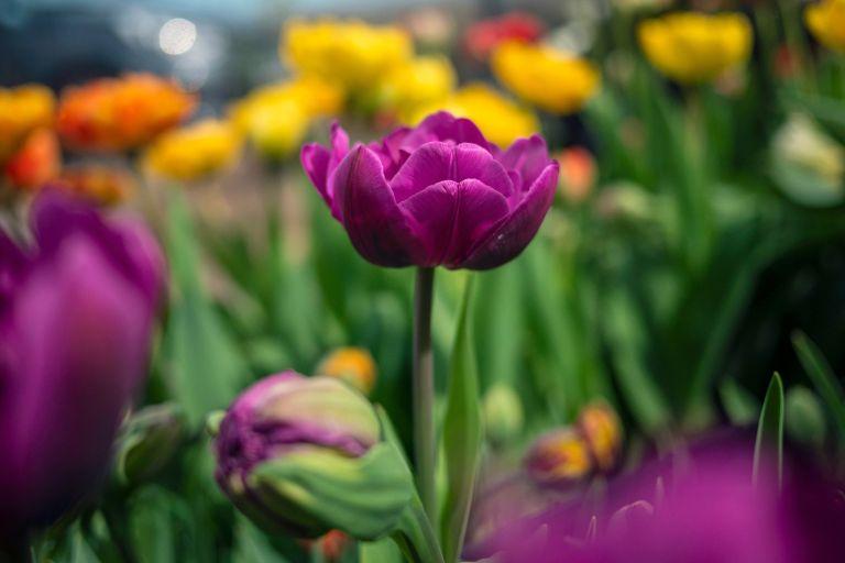 Länsi-Suomen ideatyöpaja: parastetaan hyviä työllisyysmalleja!